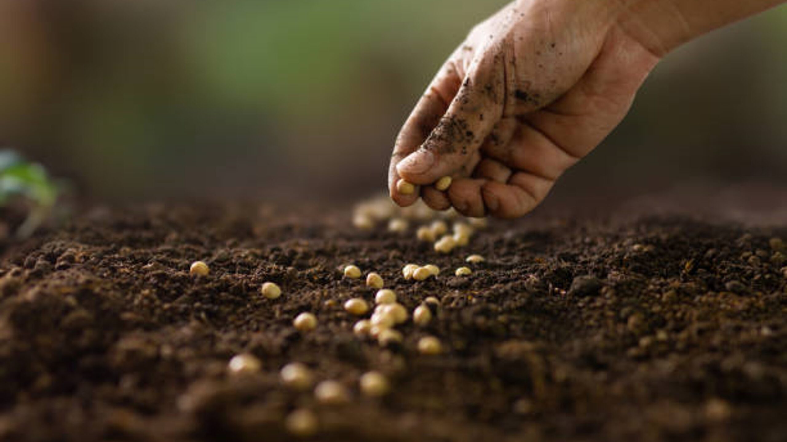 Invitados a no olvidar la esperanza