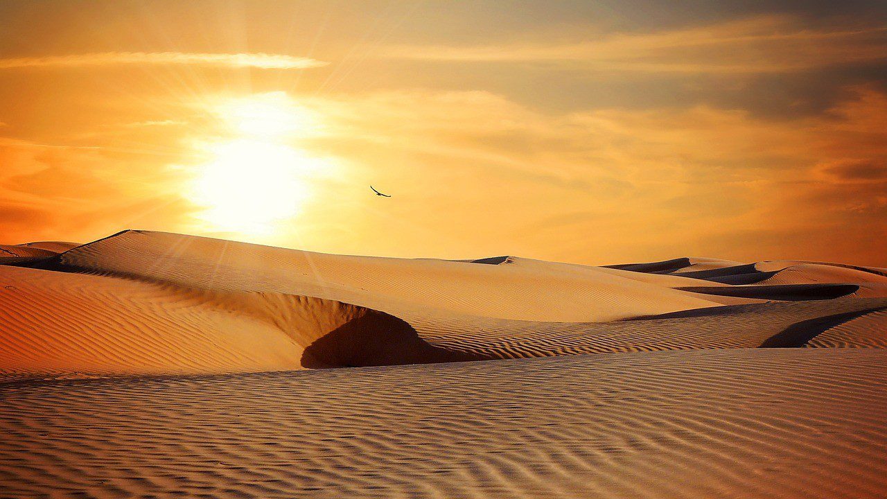 Seamos Buena Nueva: amemos y sirvamos como Jesucristo