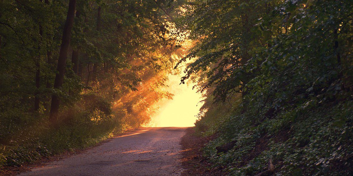 Testigos de tanto bien recibido