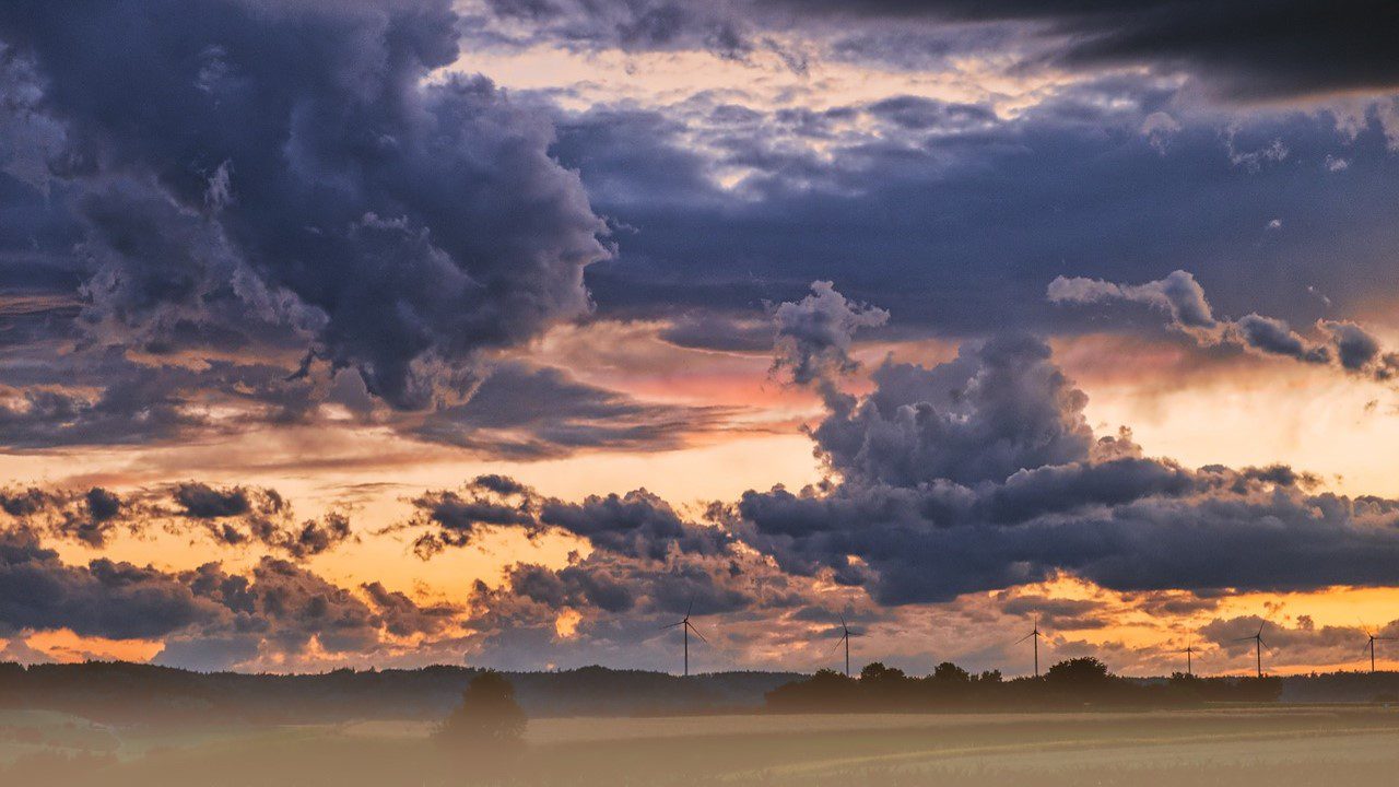 ¿Por qué son tan cobardes? ¿Aún no tienen fe?