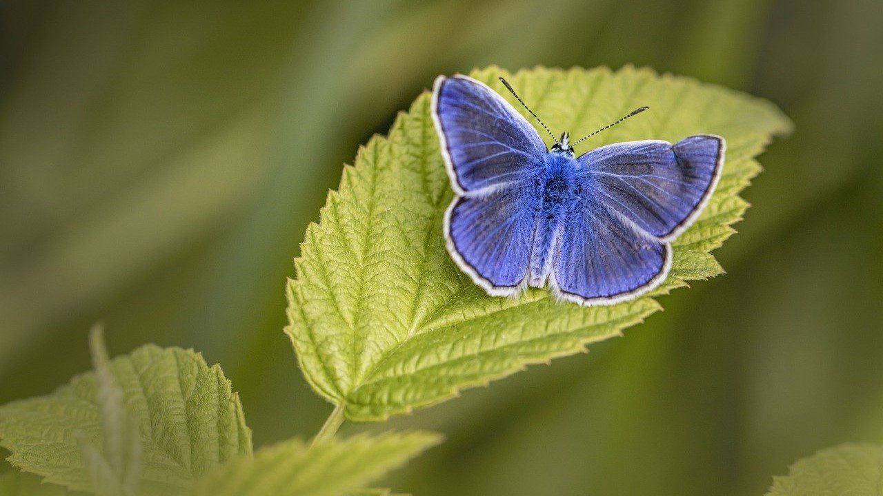 De la culpa a la experiencia del Dios Padre-Madre