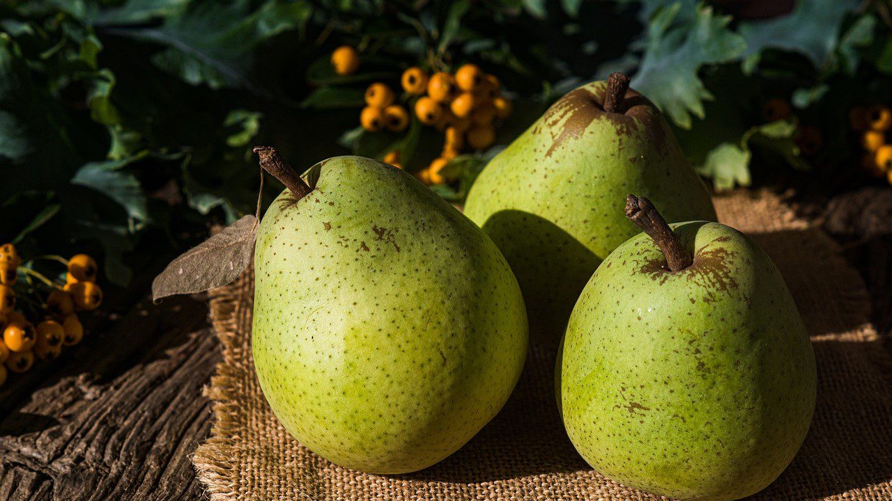 ¿Pan de un día y hambre de mañana?