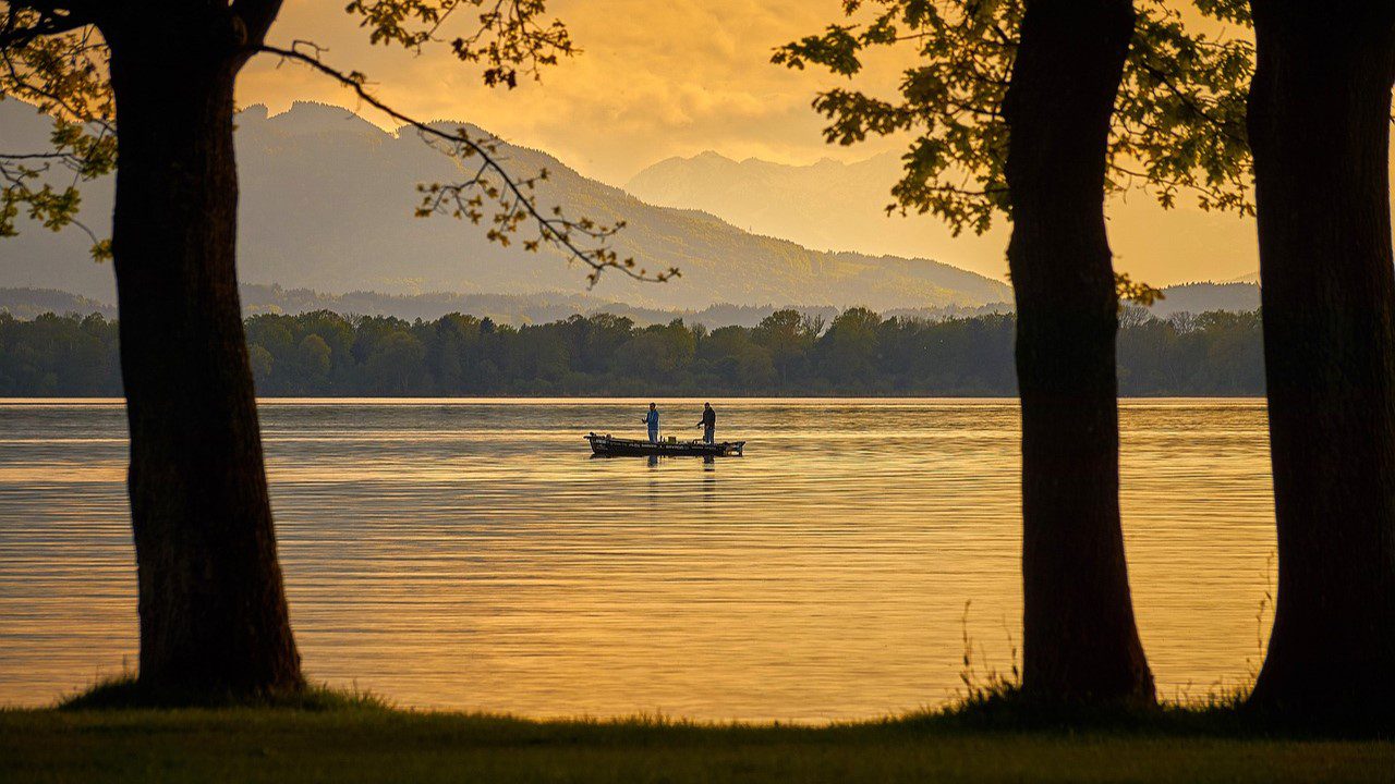 Acompañar al maestro