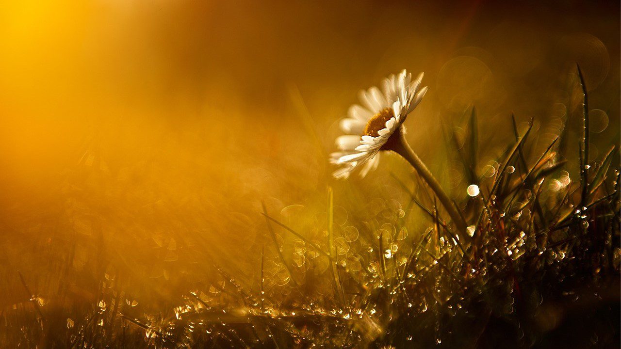 A renovar nuestras esperanzas