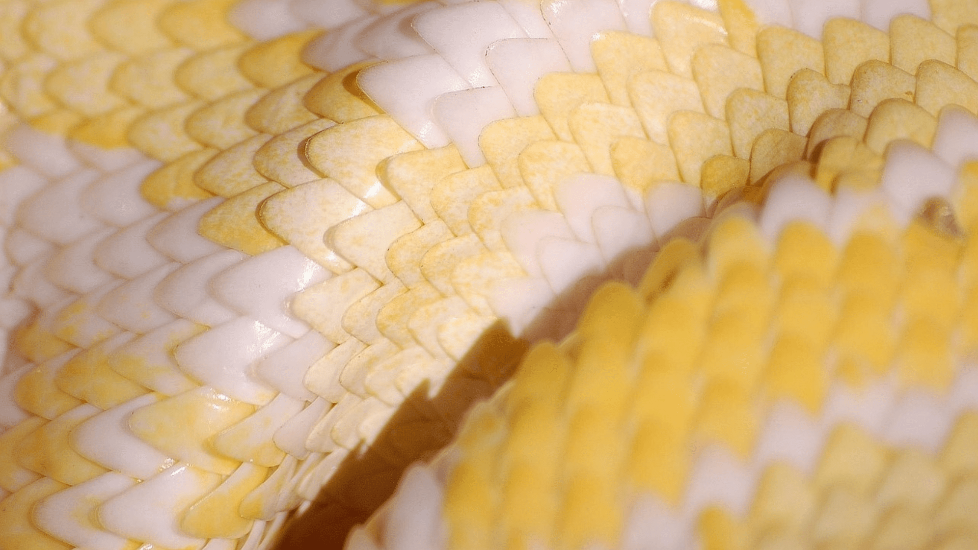 ¿Y si no puedo resistir la tentación?