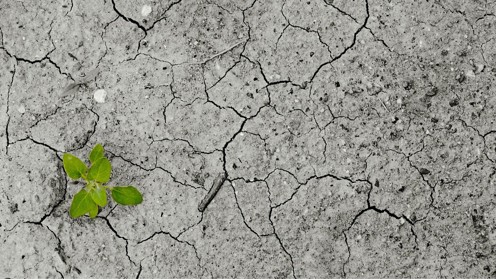 Dios empieza donde tú te rompes