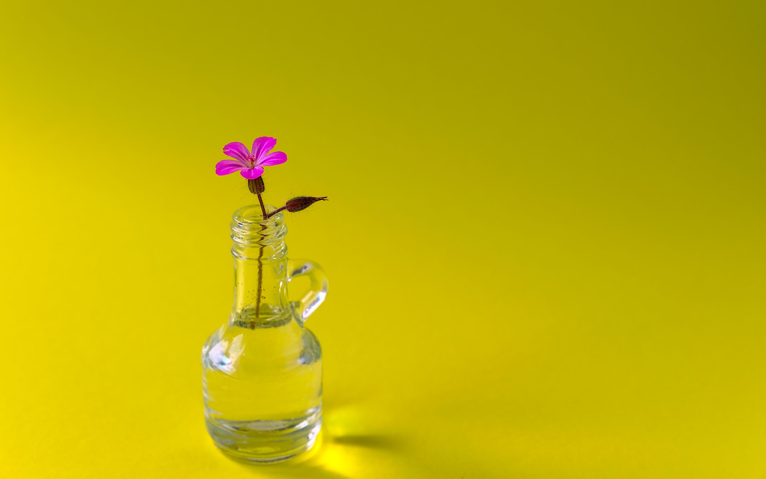 Vivir el Magis desde el Minus