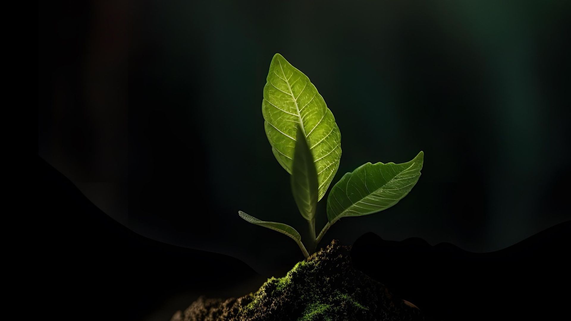 De los autoritarios, protégeme…