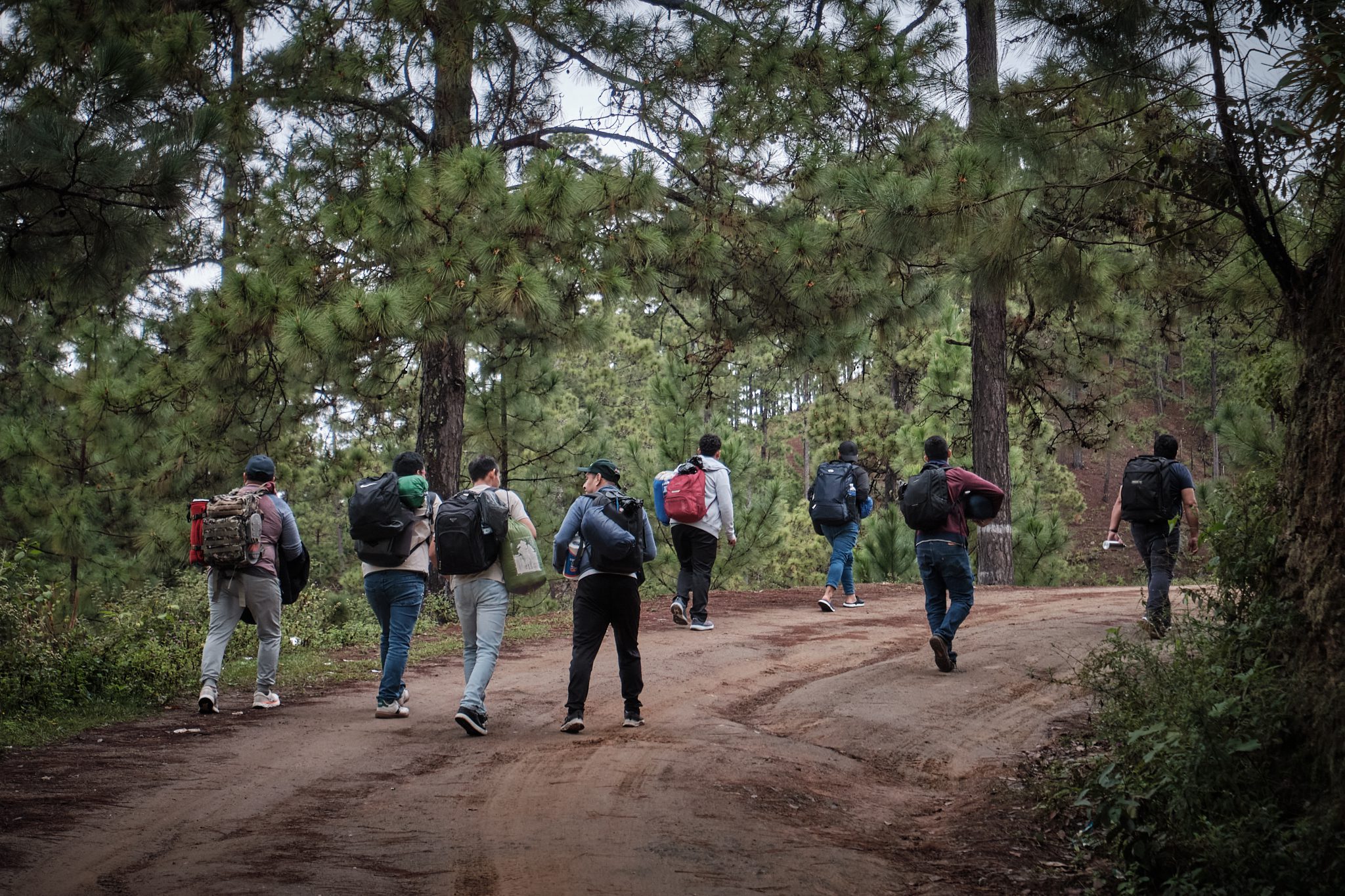 Ven y verás: animarse a caminar