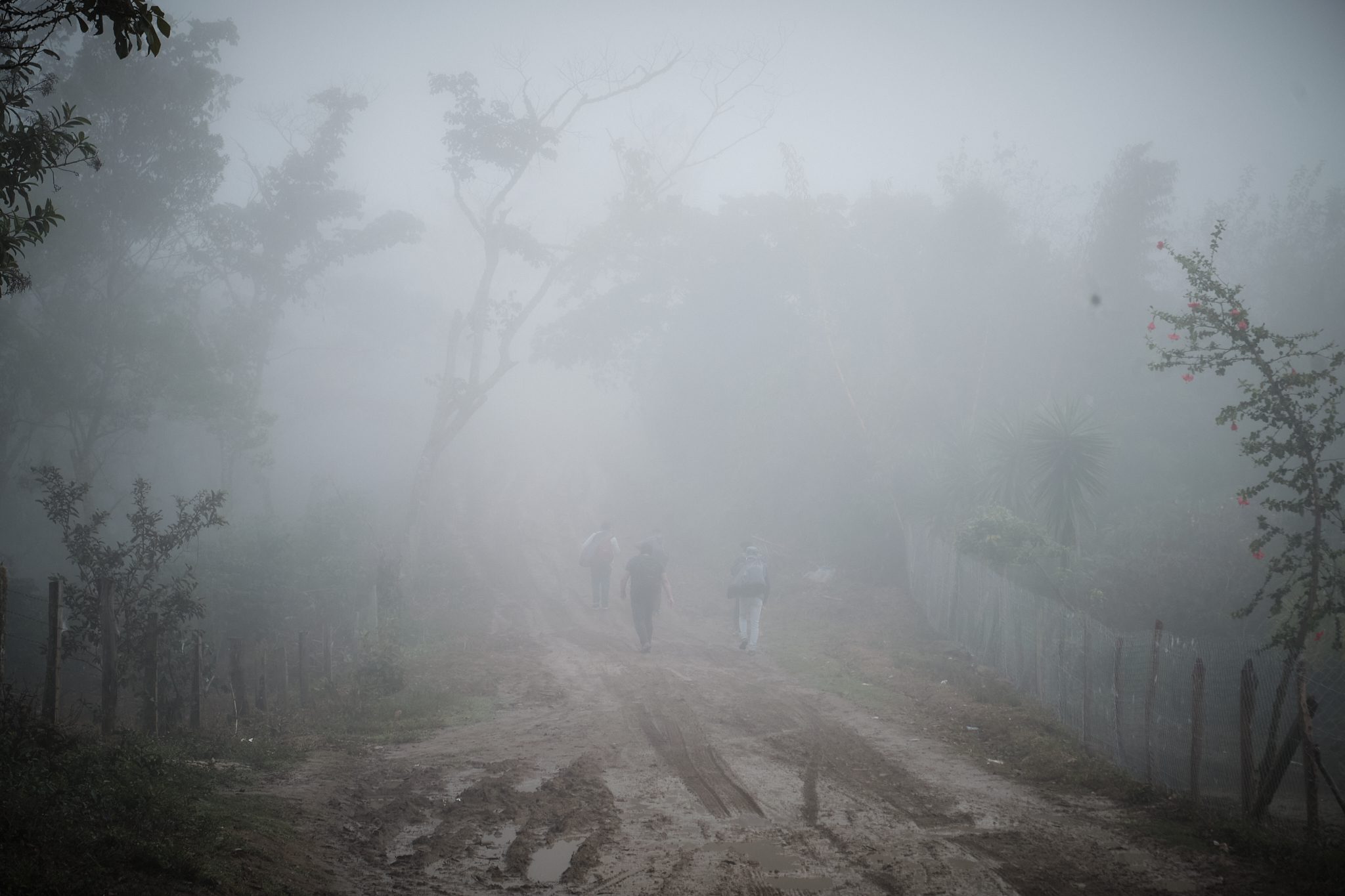 La Transfiguración del Señor